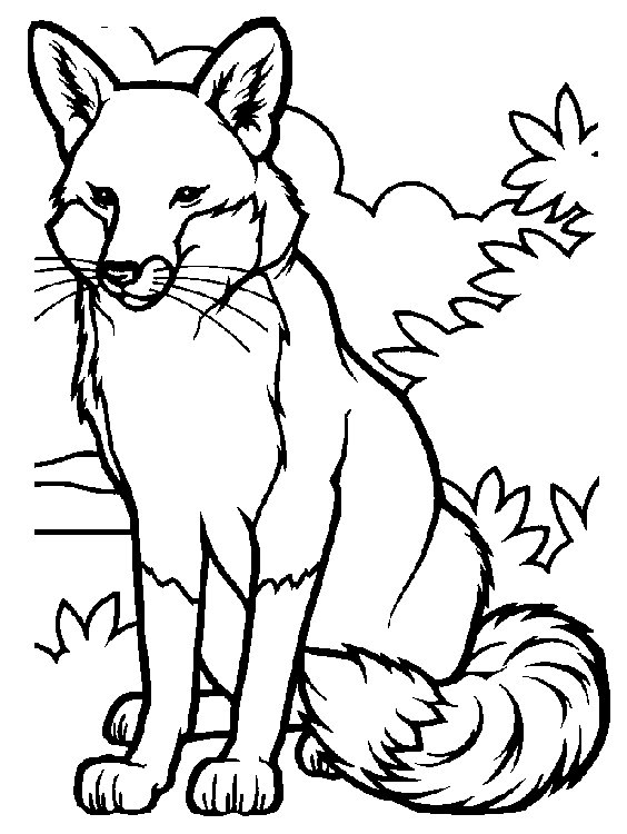 Cute Fox Coloring Pages for Kids Printable 102