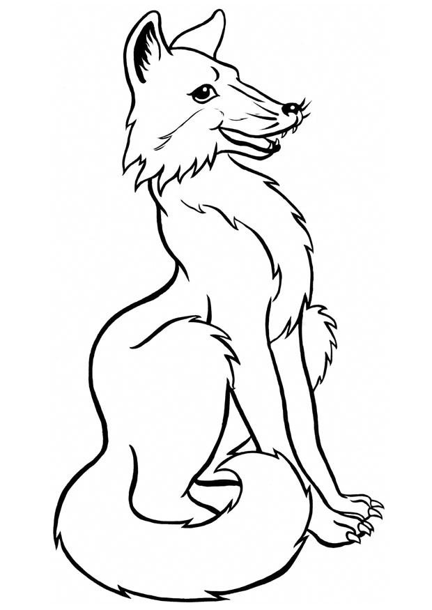 Cute Fox Coloring Pages for Kids Printable 121