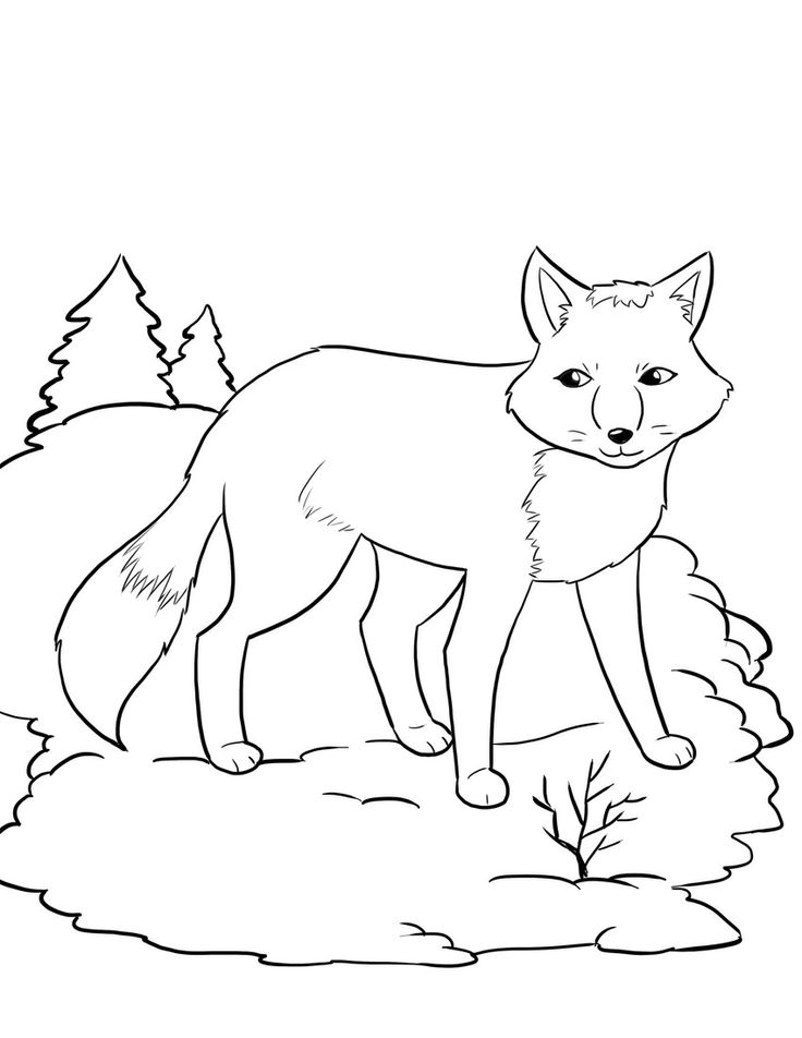 Cute Fox Coloring Pages for Kids Printable 16