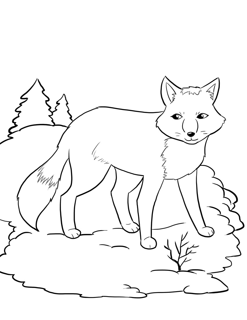 Cute Fox Coloring Pages for Kids Printable 17