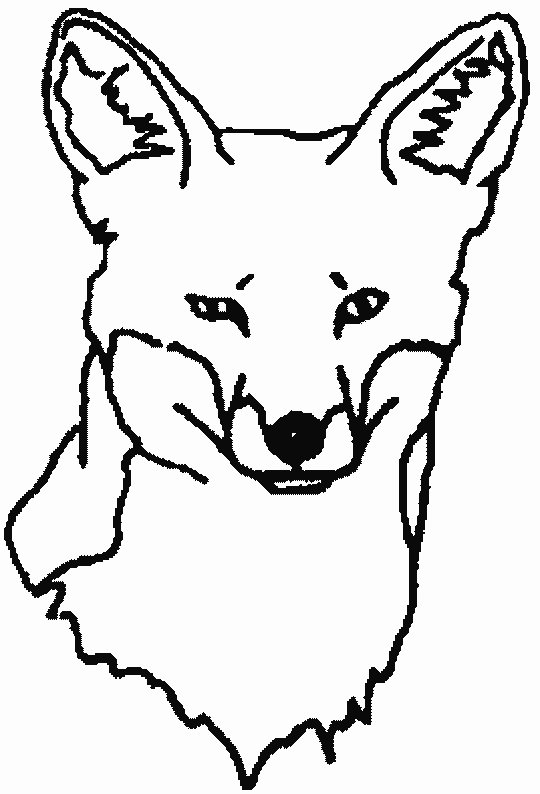 Cute Fox Coloring Pages for Kids Printable 31