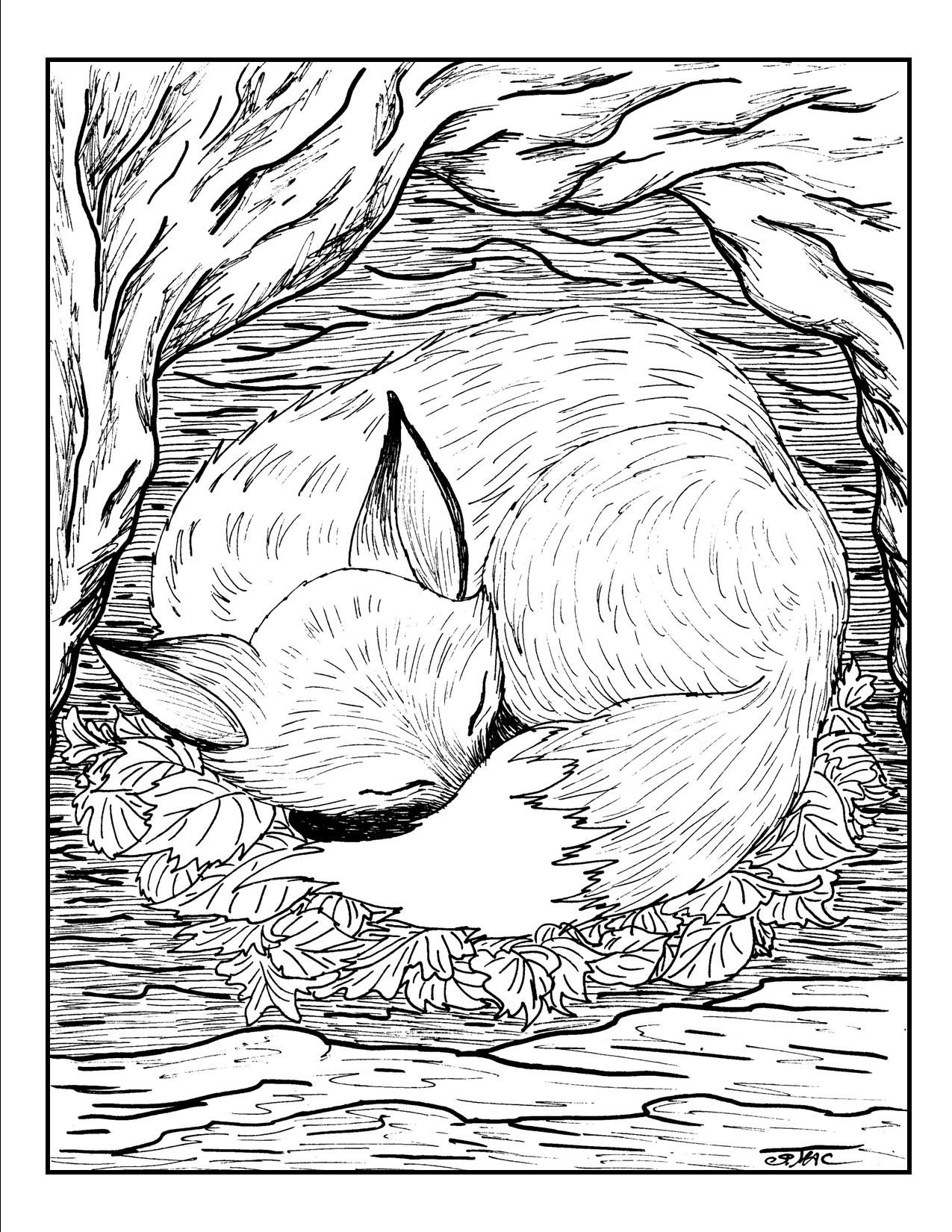 Cute Fox Coloring Pages for Kids Printable 38