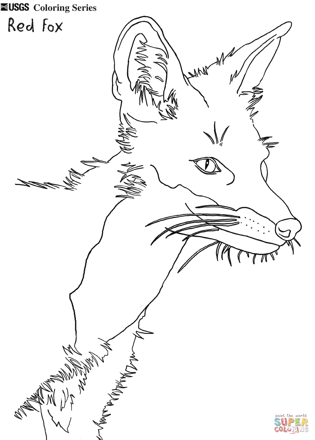 Cute Fox Coloring Pages for Kids Printable 40