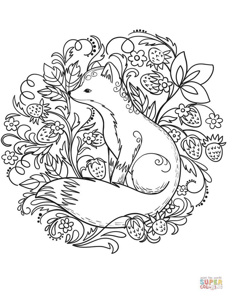 Cute Fox Coloring Pages for Kids Printable 52