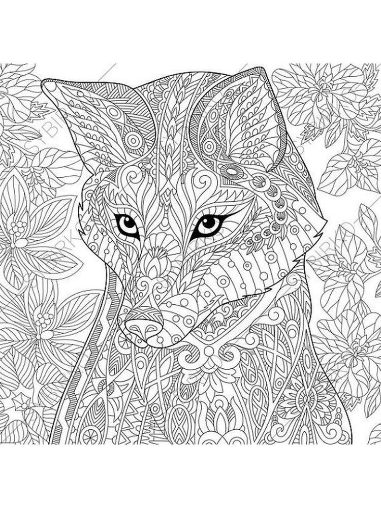 Cute Fox Coloring Pages for Kids Printable 55