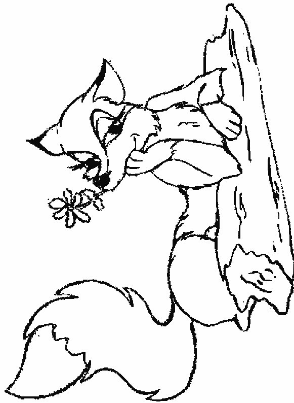 Cute Fox Coloring Pages for Kids Printable 57