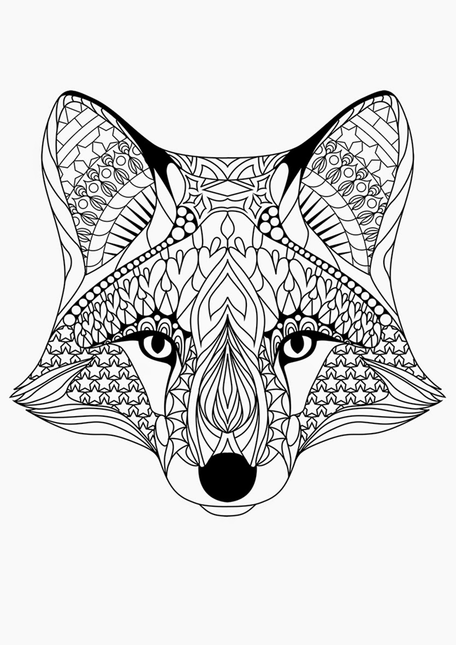 Cute Fox Coloring Pages for Kids Printable 73