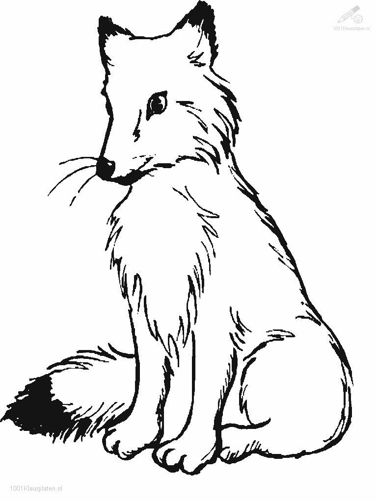 Cute Fox Coloring Pages for Kids Printable 77