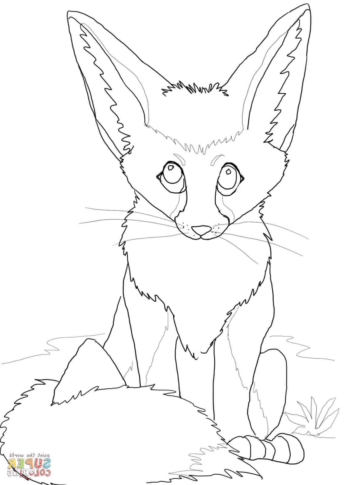 Cute Fox Coloring Pages for Kids Printable 82