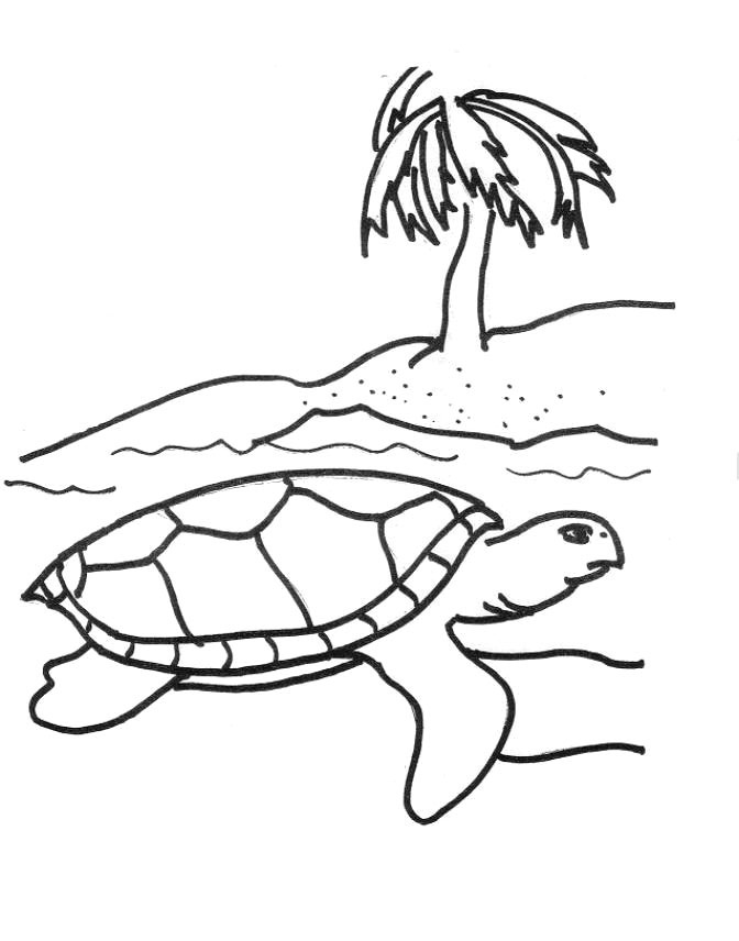 Cute Turtle Coloring Pages for Kids Printable 101