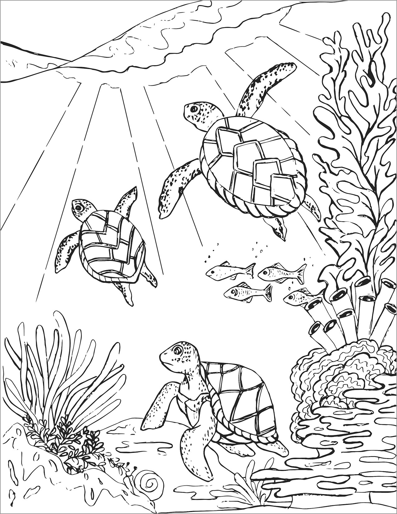 Cute Turtle Coloring Pages for Kids Printable 103