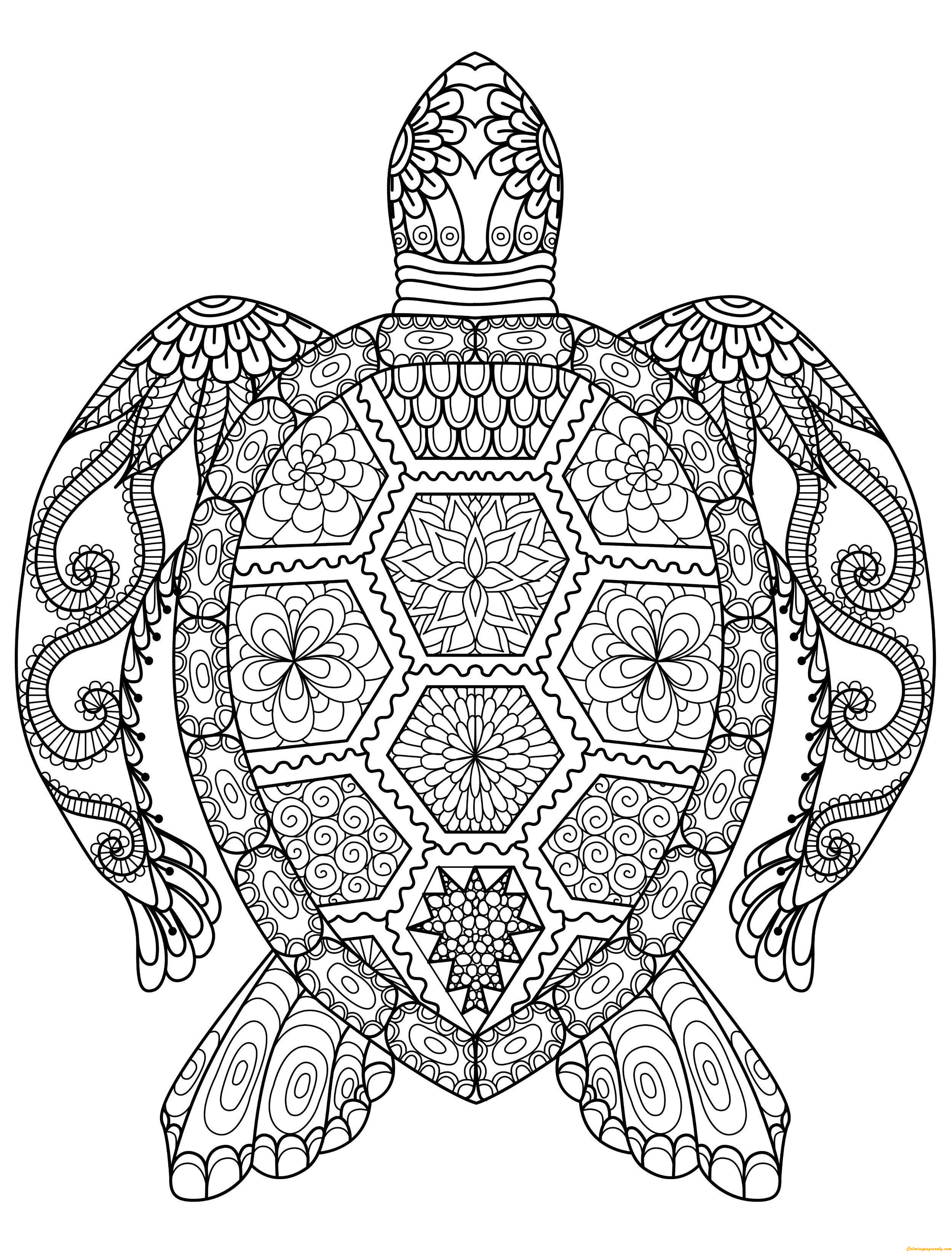 Cute Turtle Coloring Pages for Kids Printable 104