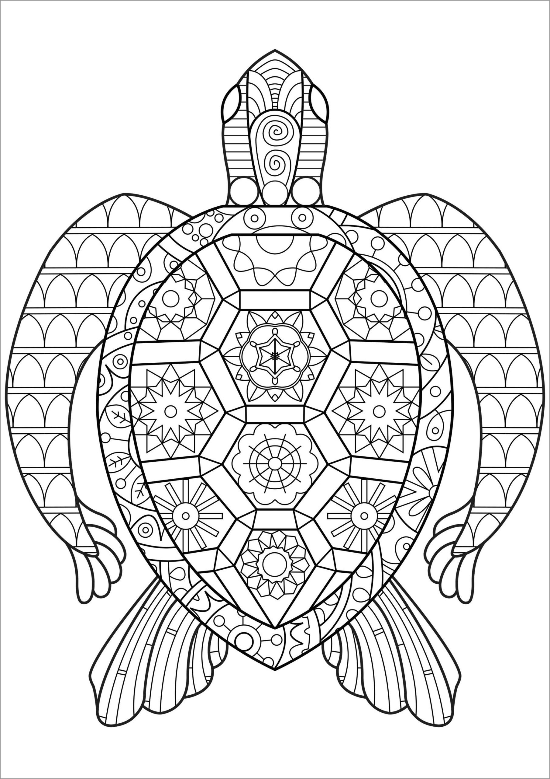 Cute Turtle Coloring Pages for Kids Printable 113