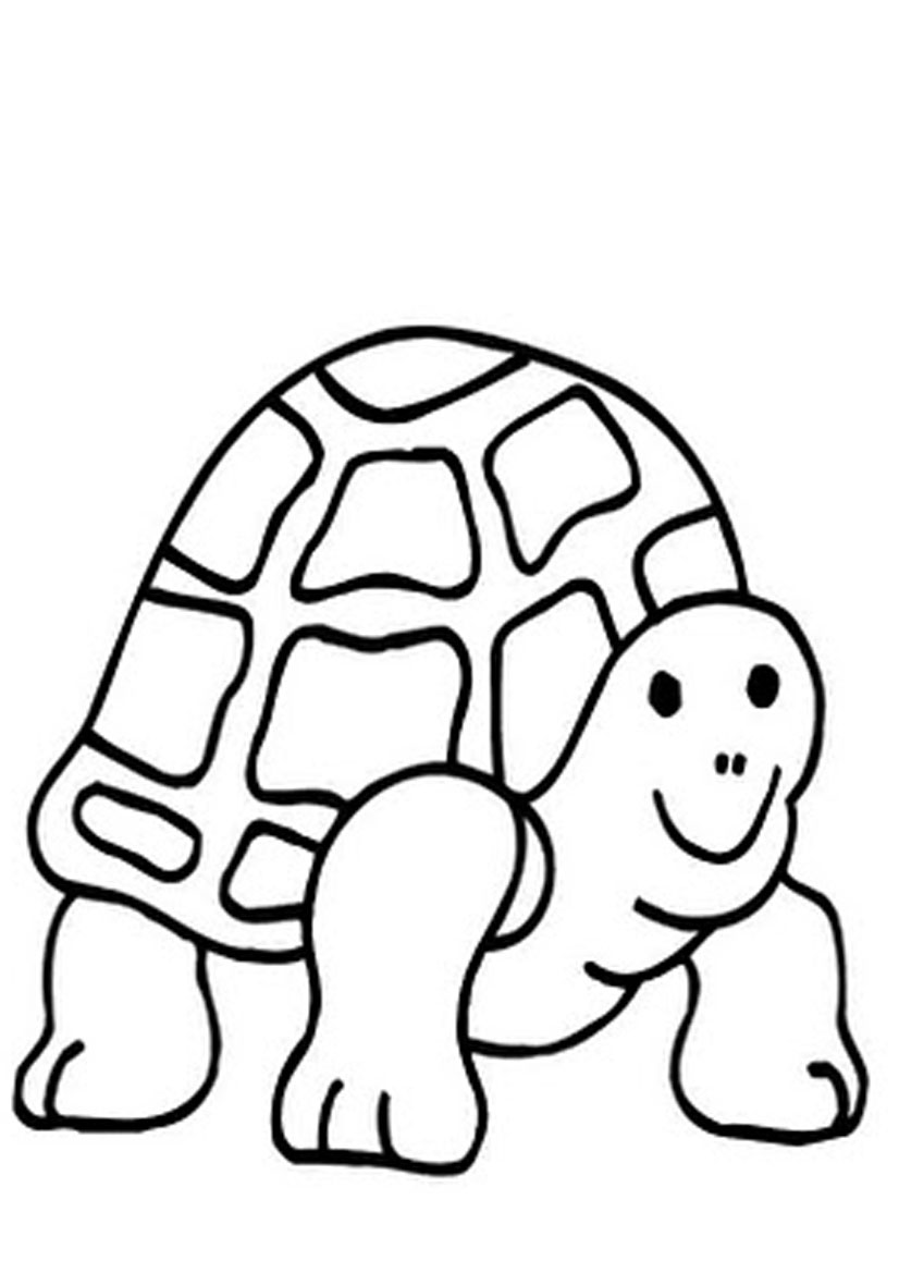 Cute Turtle Coloring Pages for Kids Printable 117