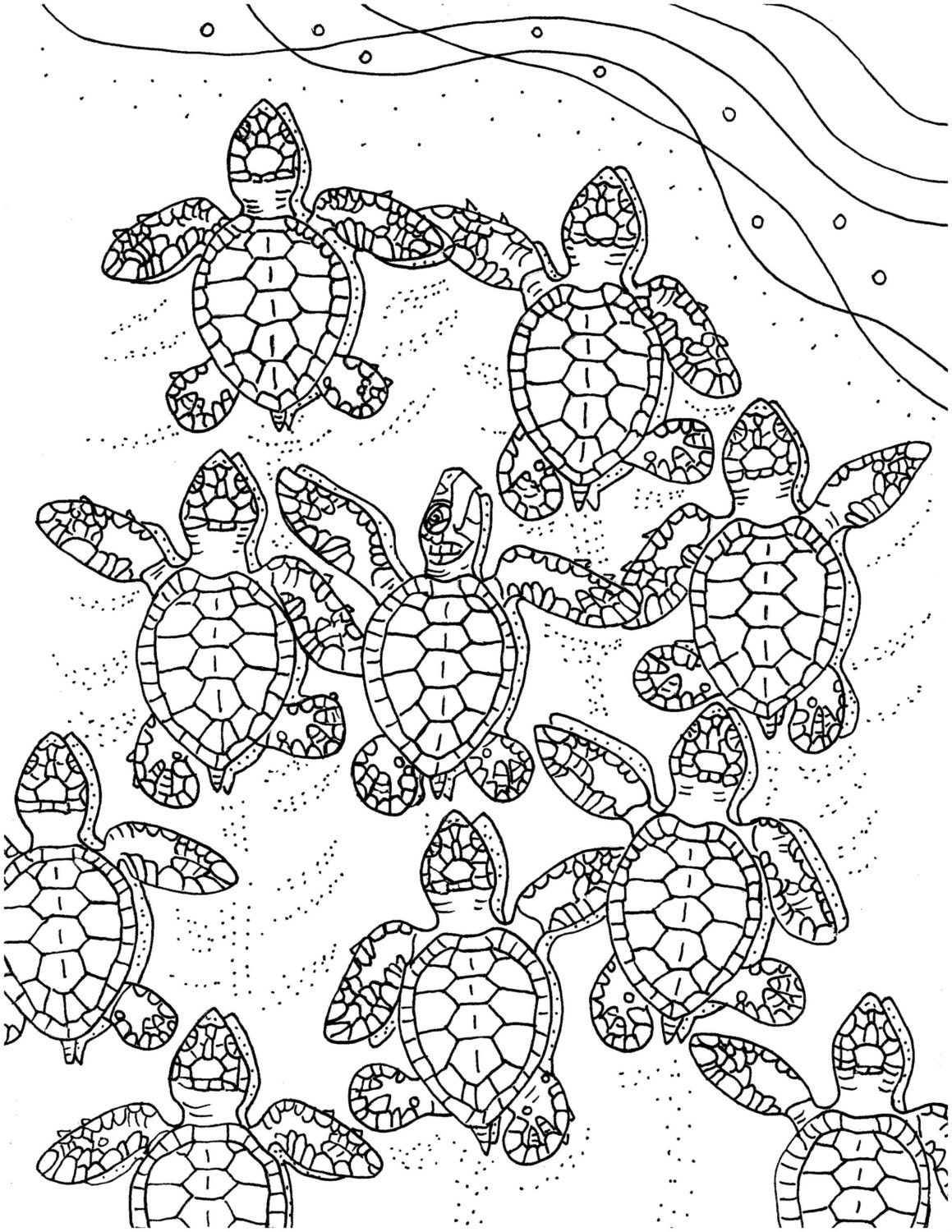 Cute Turtle Coloring Pages for Kids Printable 130