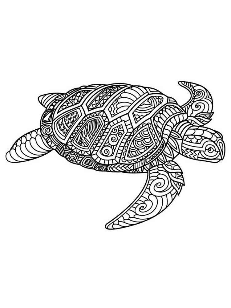 Cute Turtle Coloring Pages for Kids Printable 136