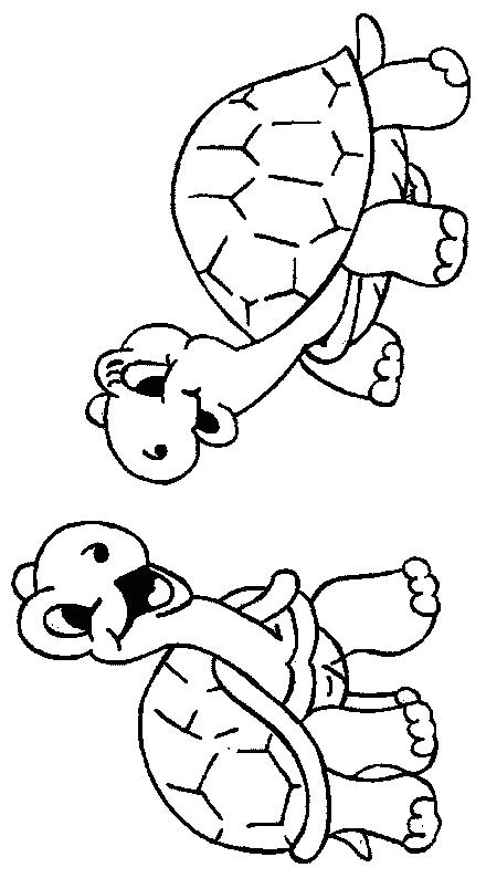 Cute Turtle Coloring Pages for Kids Printable 138