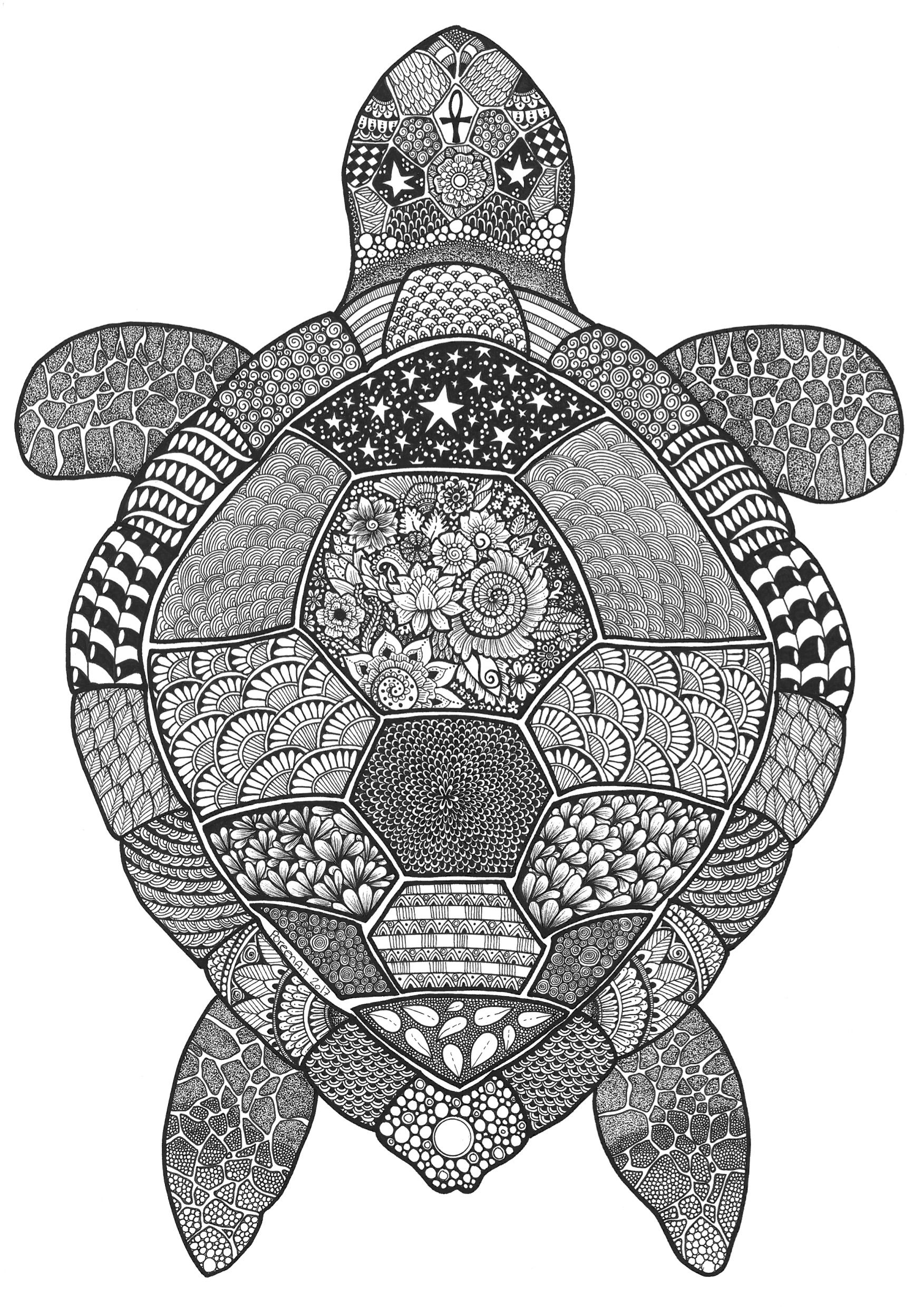 Cute Turtle Coloring Pages for Kids Printable 140