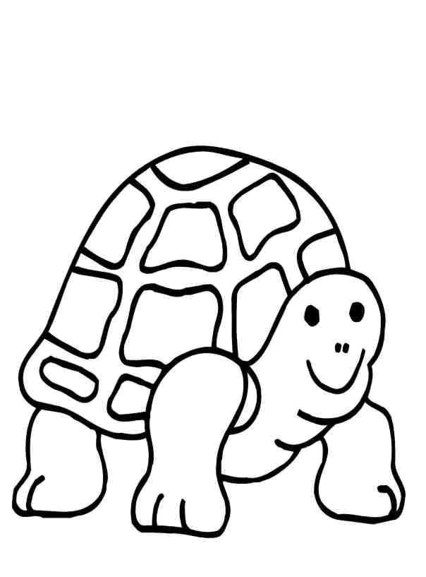 Cute Turtle Coloring Pages for Kids Printable 143