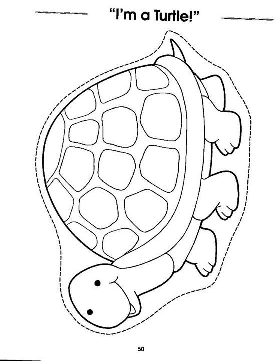 Cute Turtle Coloring Pages for Kids Printable 144