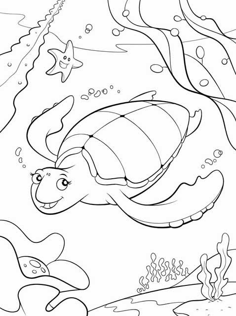 Cute Turtle Coloring Pages for Kids Printable 15