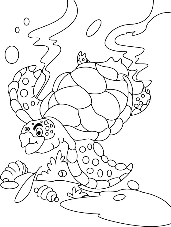 Cute Turtle Coloring Pages for Kids Printable 154