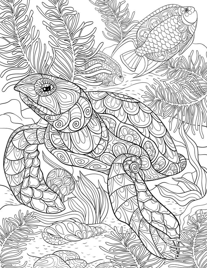 Cute Turtle Coloring Pages for Kids Printable 16