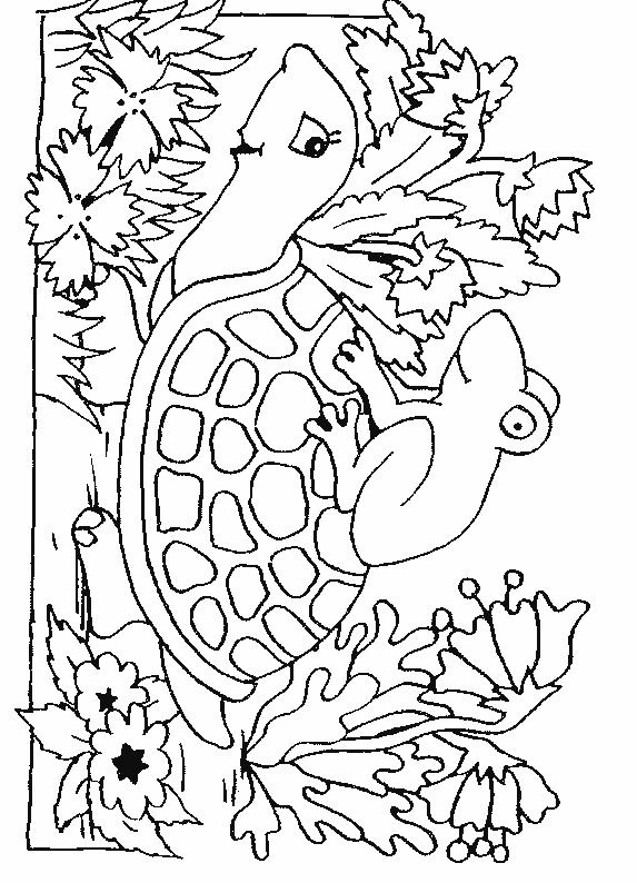 Cute Turtle Coloring Pages for Kids Printable 164