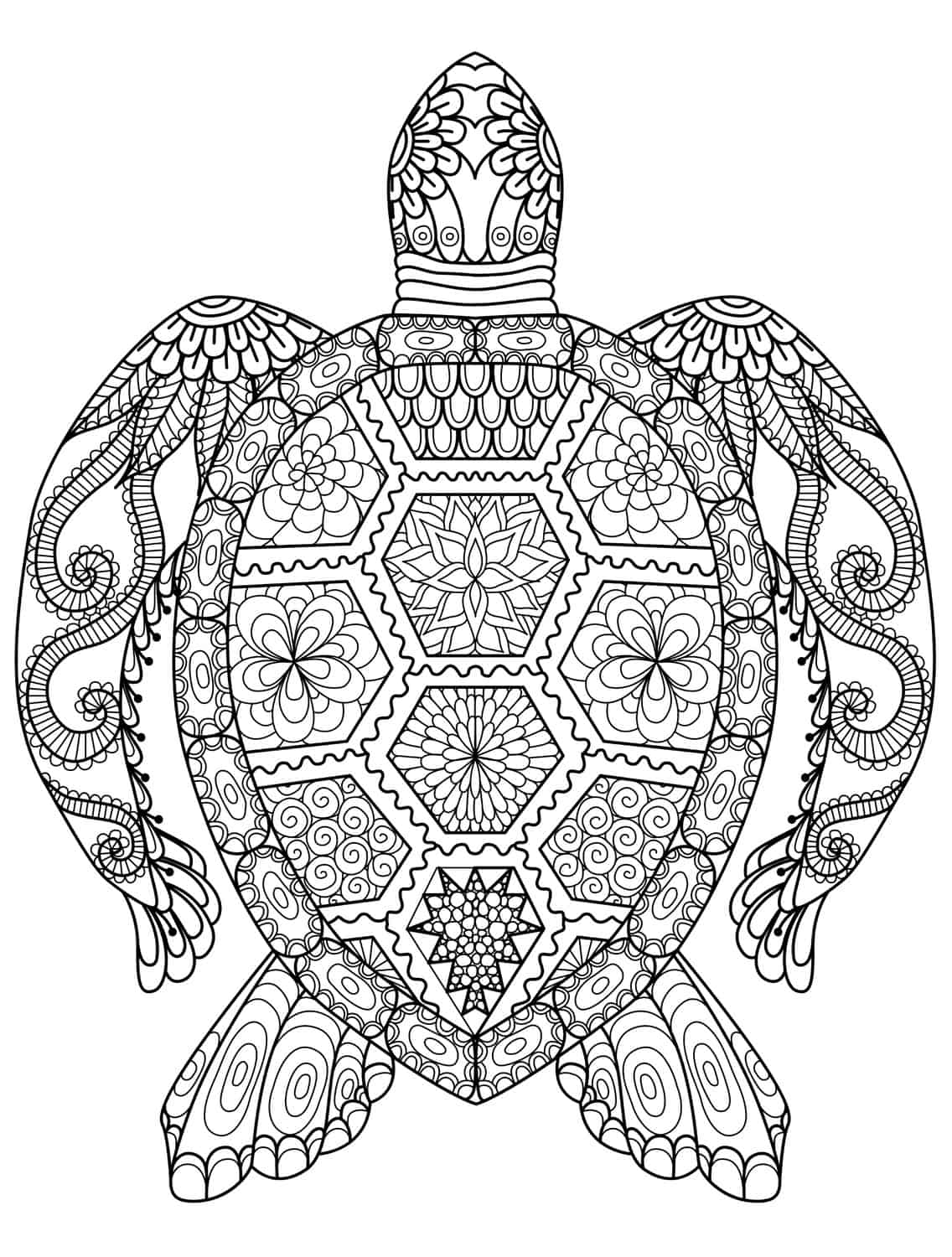 Cute Turtle Coloring Pages for Kids Printable 17