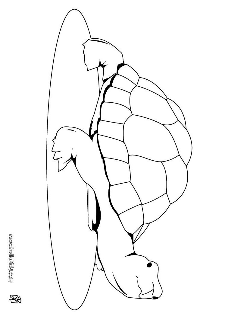 Cute Turtle Coloring Pages for Kids Printable 26