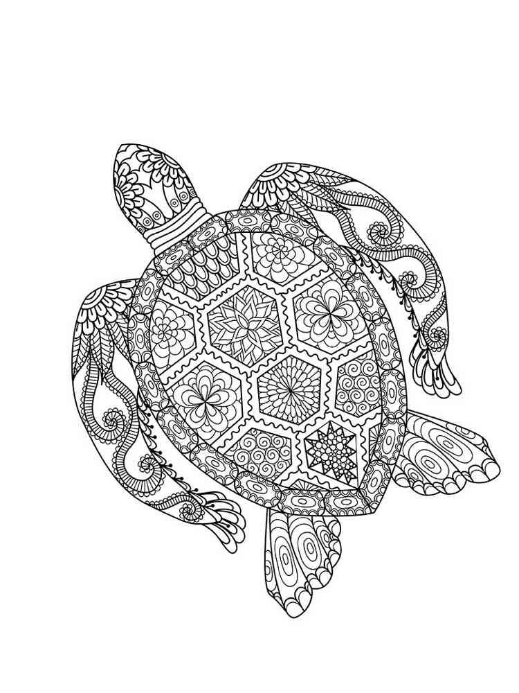 Cute Turtle Coloring Pages for Kids Printable 27