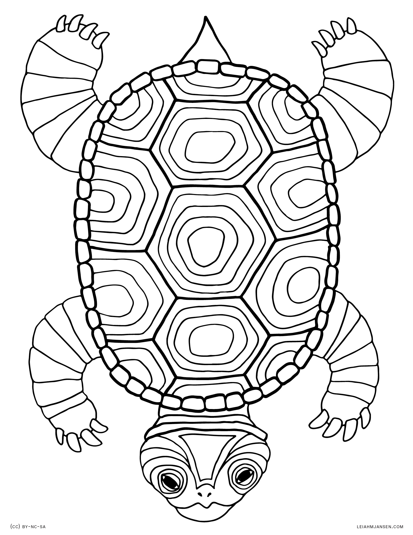 Cute Turtle Coloring Pages for Kids Printable 30