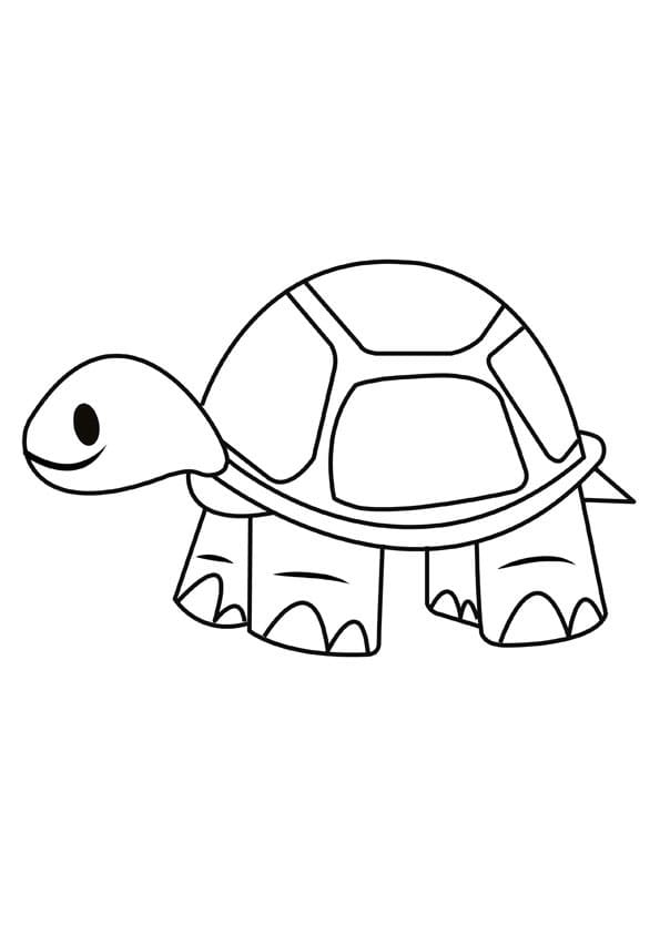 Cute Turtle Coloring Pages for Kids Printable 4