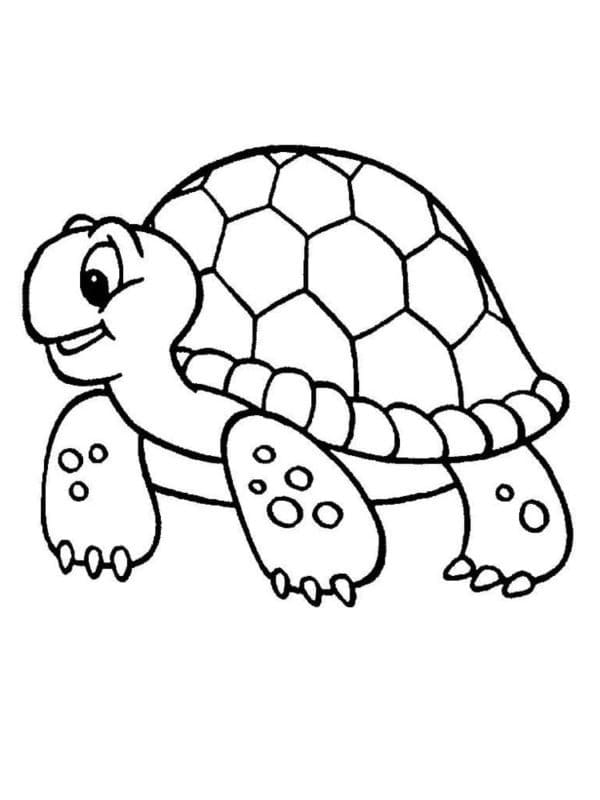 Cute Turtle Coloring Pages for Kids Printable 44