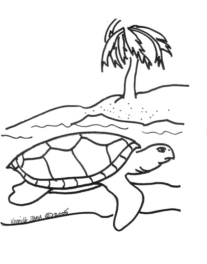 Cute Turtle Coloring Pages for Kids Printable 45