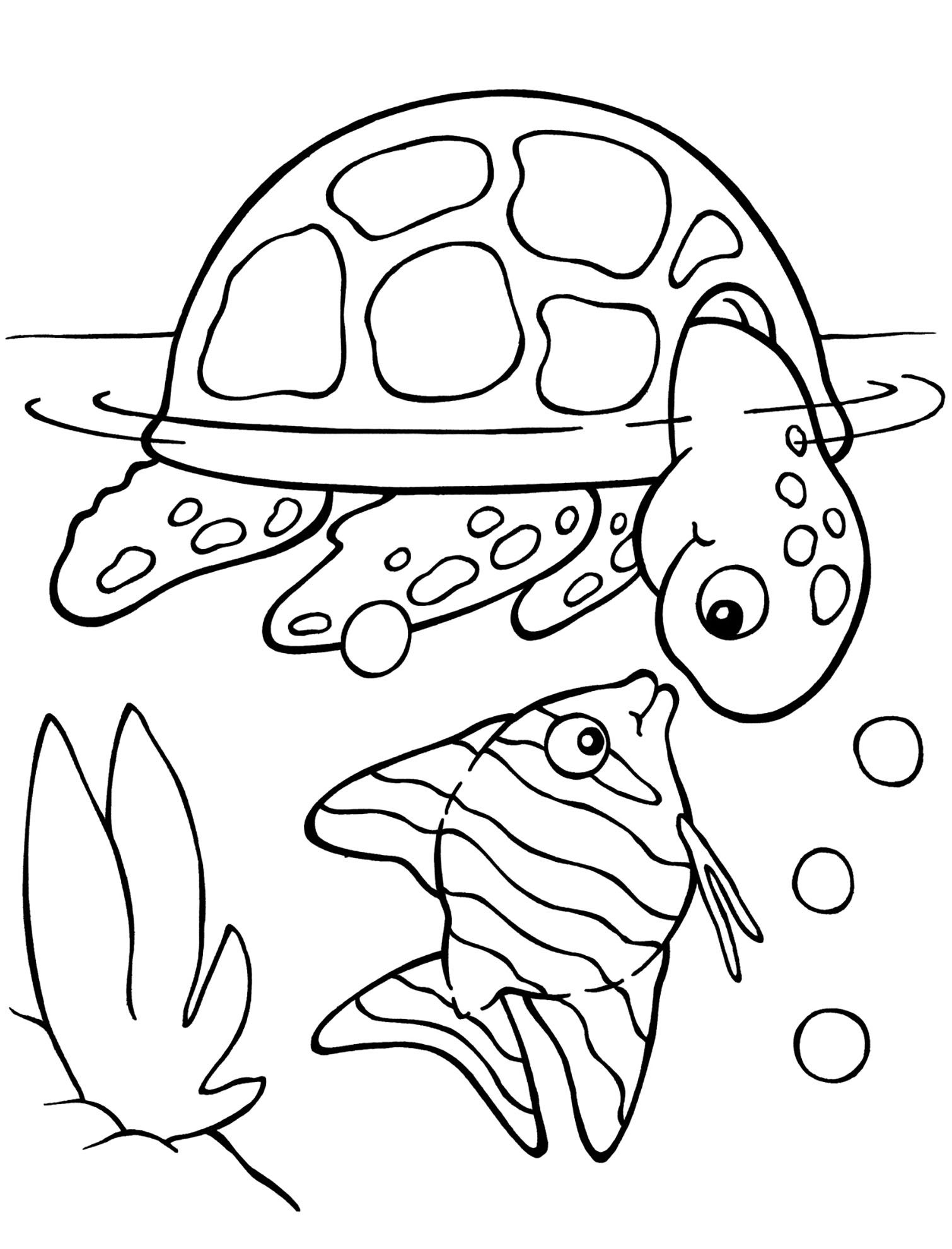 Cute Turtle Coloring Pages for Kids Printable 46