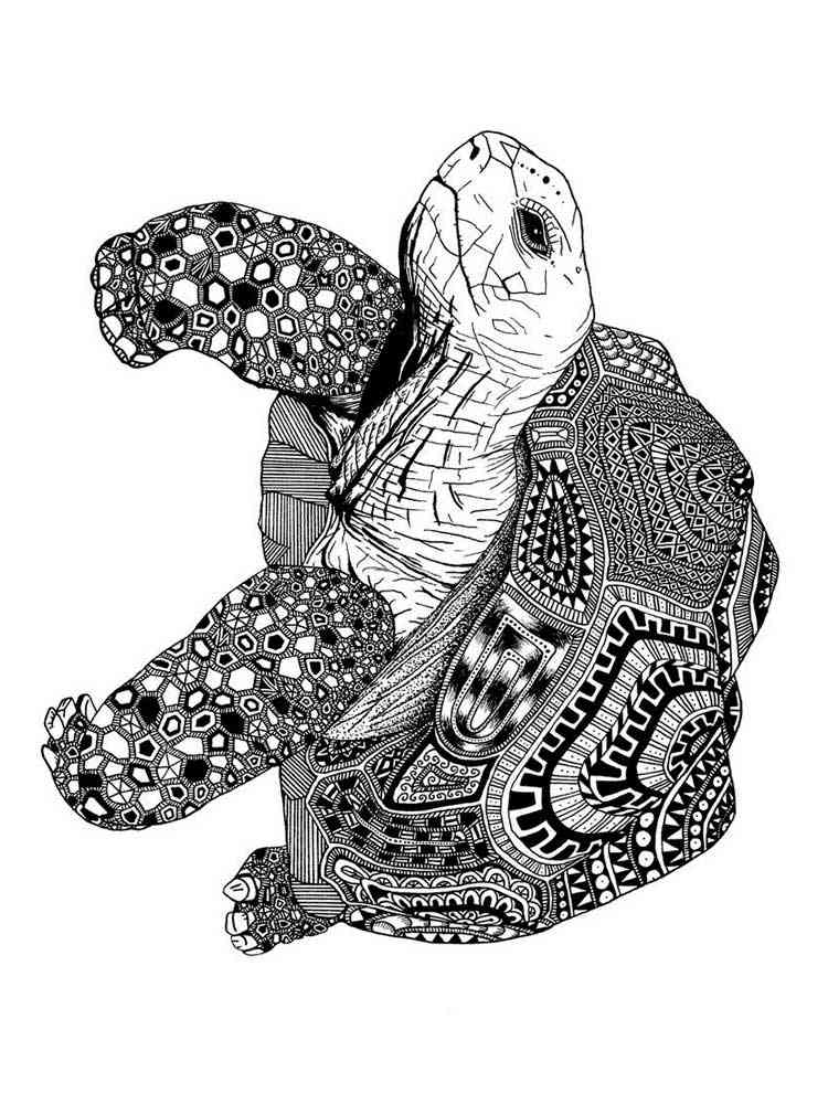 Cute Turtle Coloring Pages for Kids Printable 47