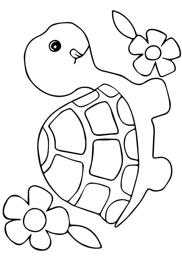 Cute Turtle Coloring Pages for Kids Printable 55