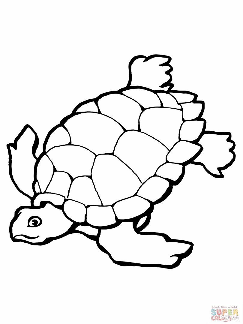 Cute Turtle Coloring Pages for Kids Printable 6