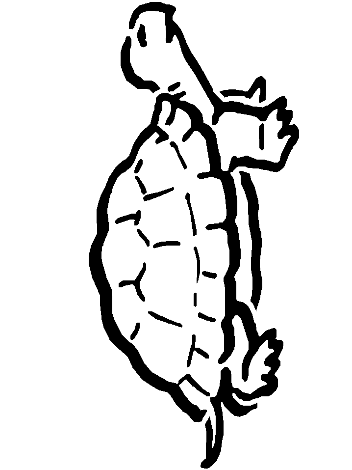 Cute Turtle Coloring Pages for Kids Printable 64