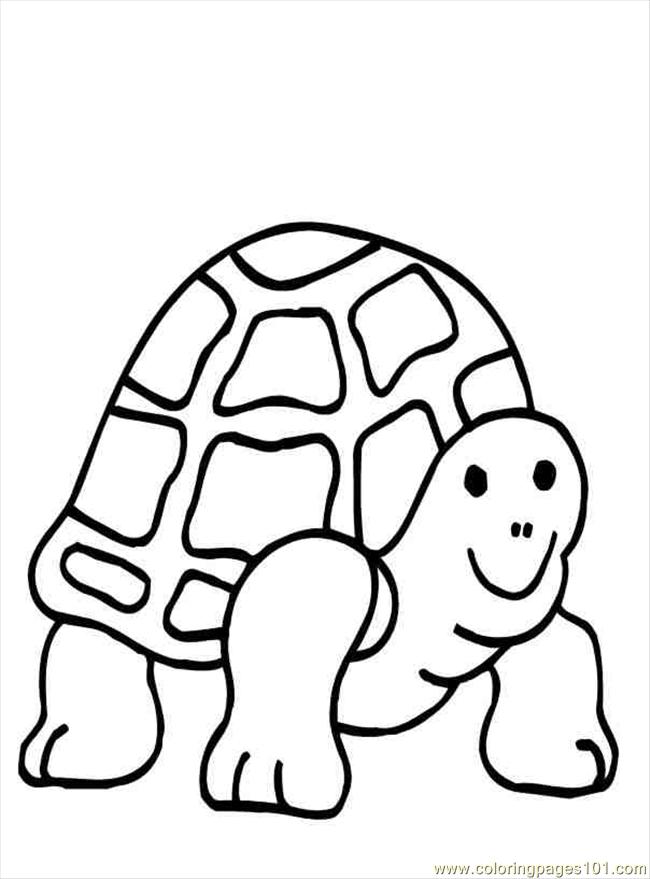 Cute Turtle Coloring Pages for Kids Printable 67