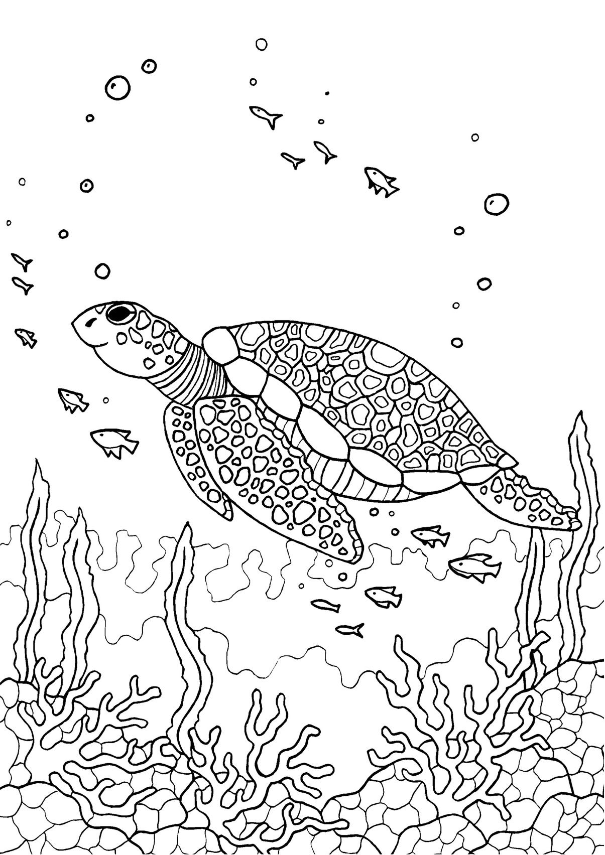 Cute Turtle Coloring Pages for Kids Printable 71