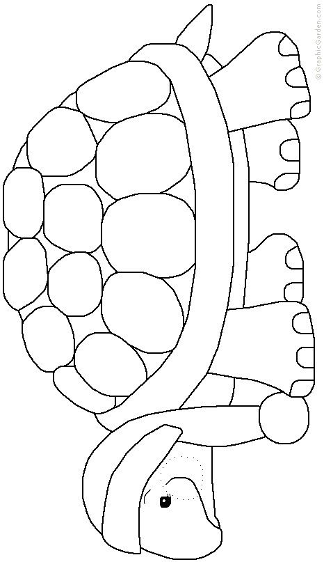 Cute Turtle Coloring Pages for Kids Printable 74