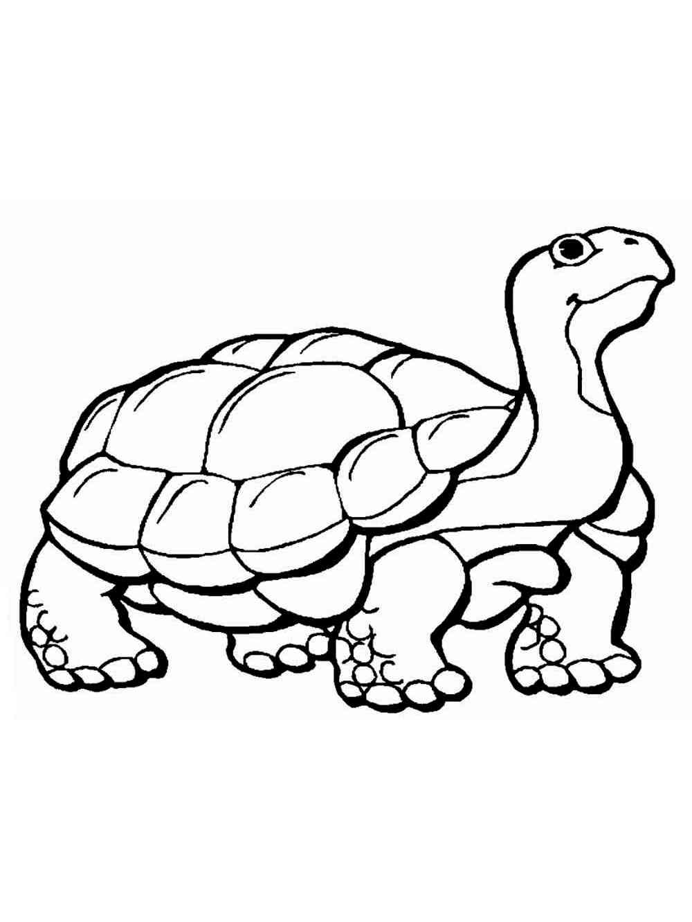 Cute Turtle Coloring Pages for Kids Printable 78