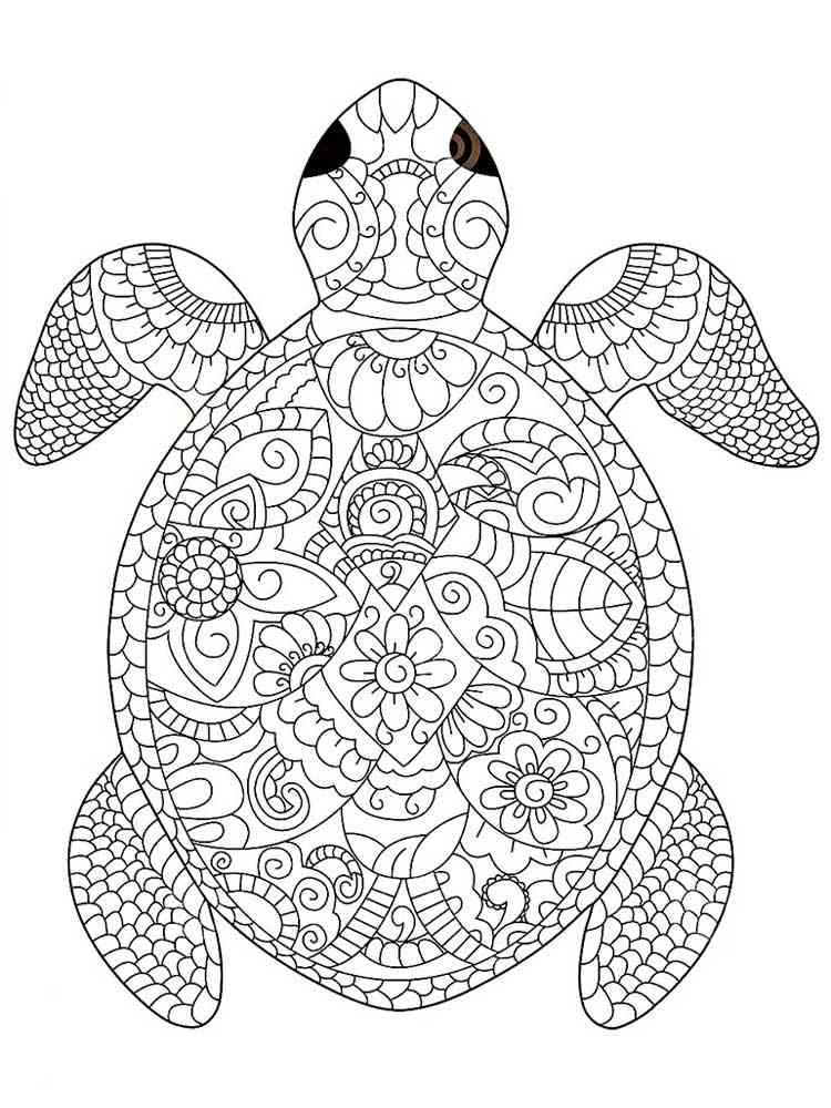 Cute Turtle Coloring Pages for Kids Printable 8