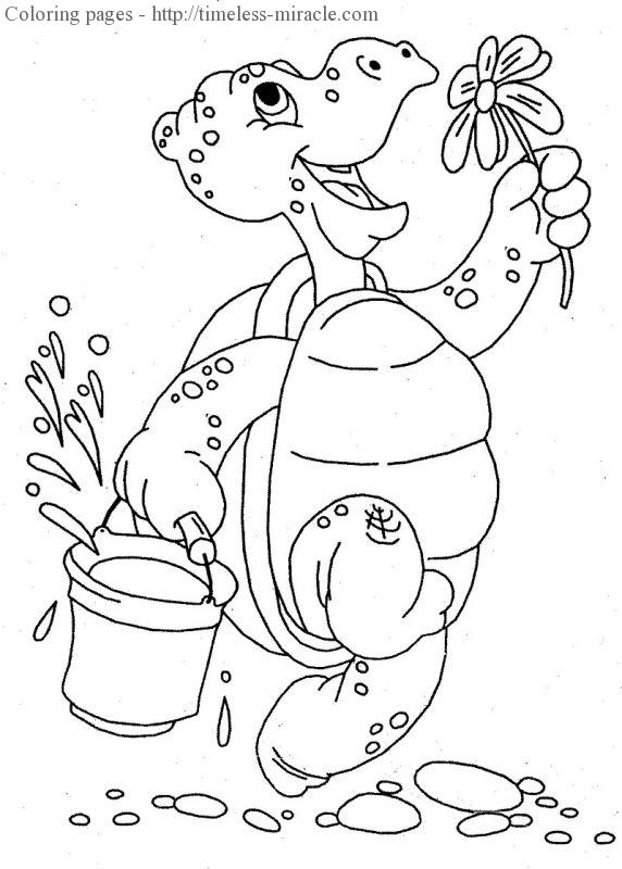 Cute Turtle Coloring Pages for Kids Printable 88