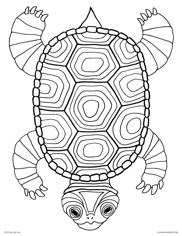 Cute Turtle Coloring Pages for Kids Printable 9