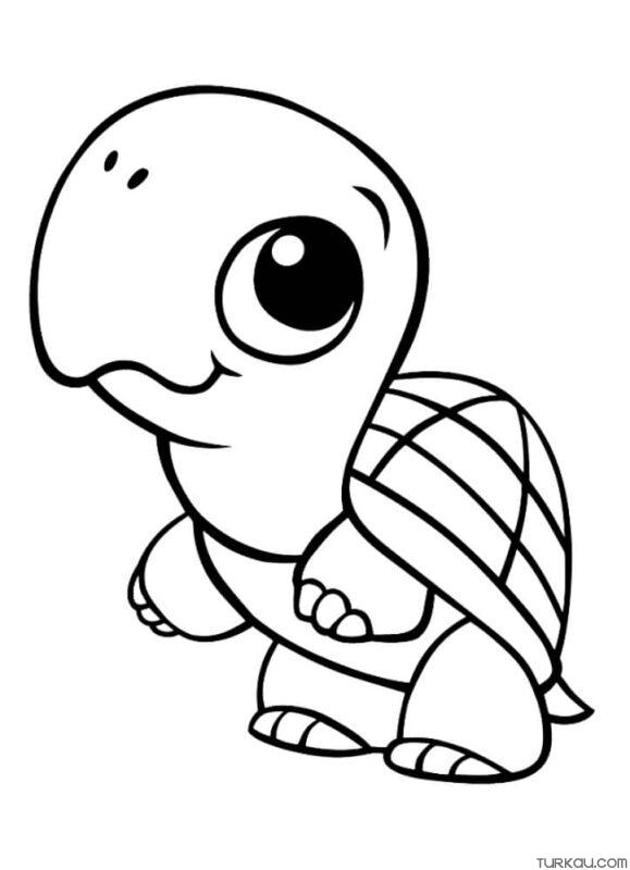 Cute Turtle Coloring Pages for Kids Printable 96