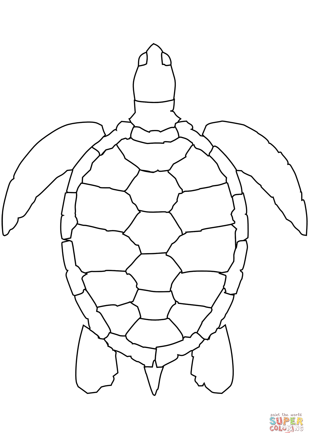 Cute Turtle Coloring Pages for Kids Printable 98