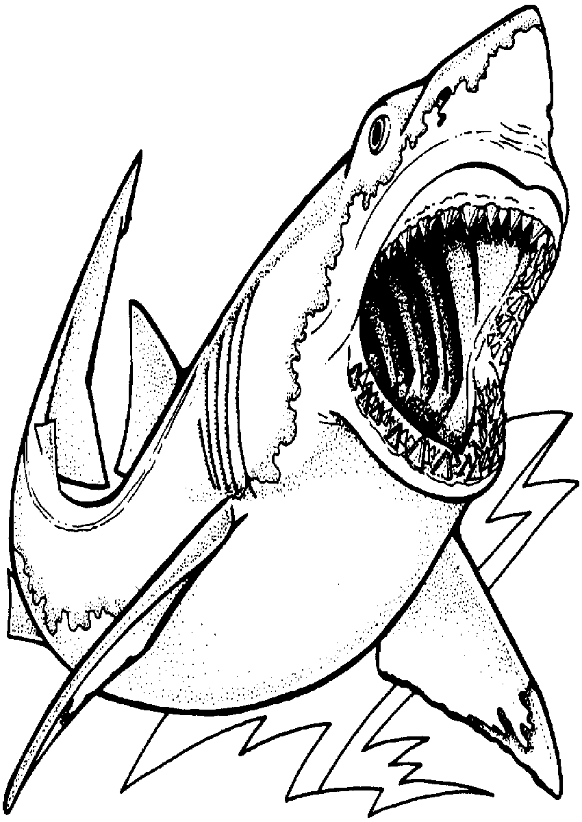 Shark Coloring Pages for Adults Printables 2